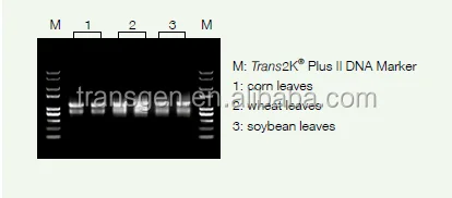 EasyPure набор экстракта РНК