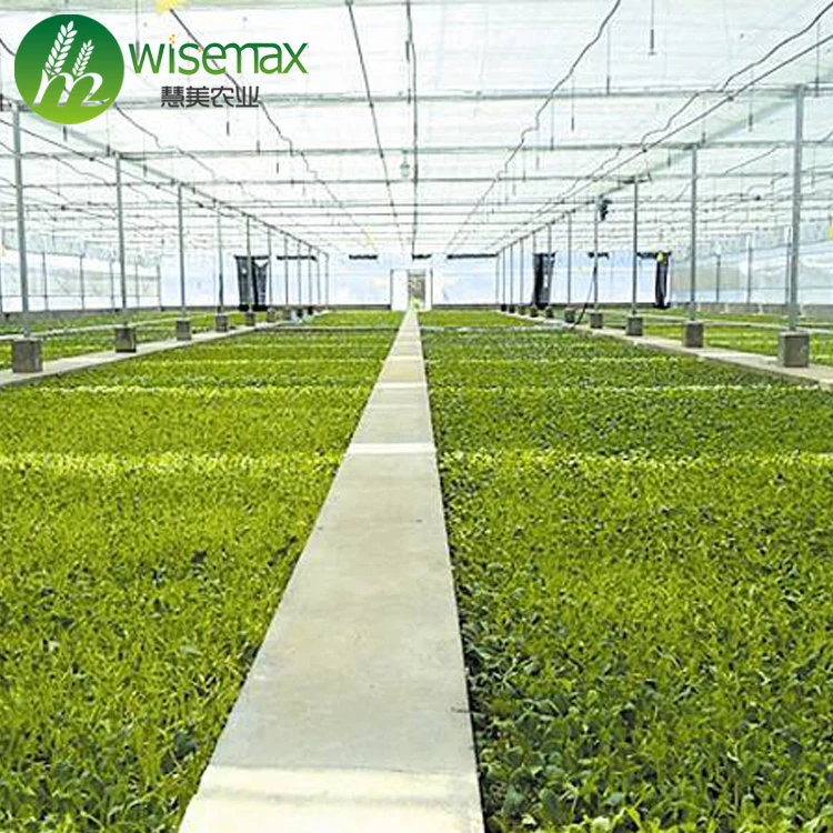 Low cost multi span comercial greenhouse kits/commercial greenhouse