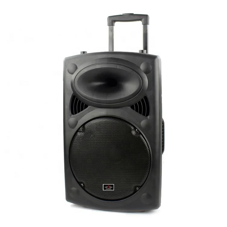 Профессиональный Новый 12 дюймов Открытый портативный караоке USB перезаряжаемые сабвуфер Bluetooth усилители домашние тележка динамик с беспроводной mic