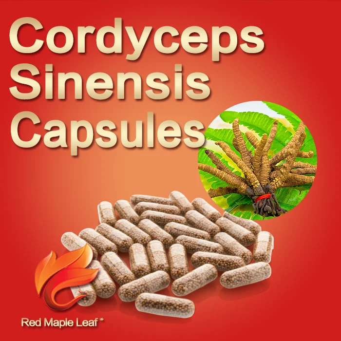 Natural Cordyceps Sinensis Extract Capsules, Softgels, supplement - Manufacturer, Price, OEM, Private Label