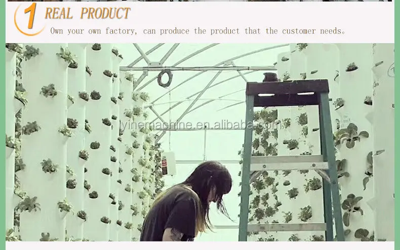LYINE agriculture vertical hydroponic aeroponic systems for planting fruit