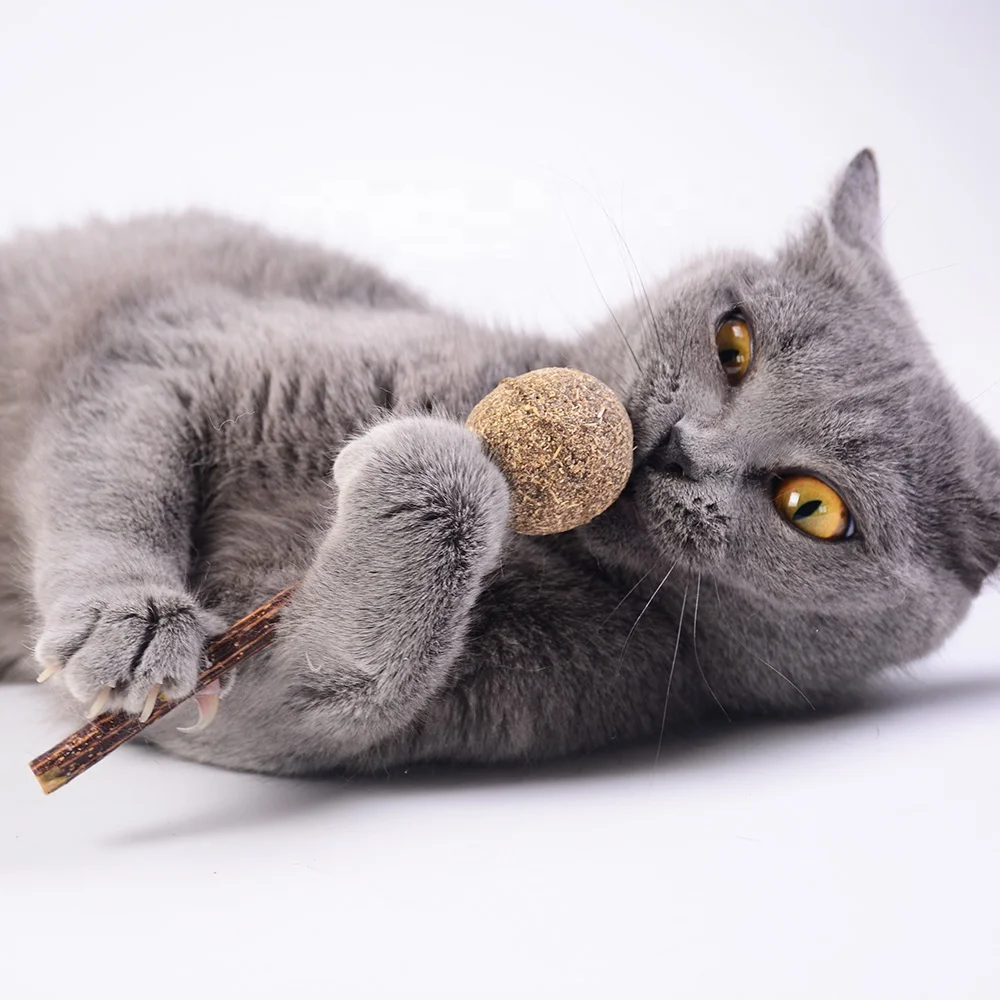 CAT Chew Matatabi Stick Toy silvervine Catnip Cute Lollipop Shape Catnip For Cat Tooth Matatabli Cleaning Molar Toy