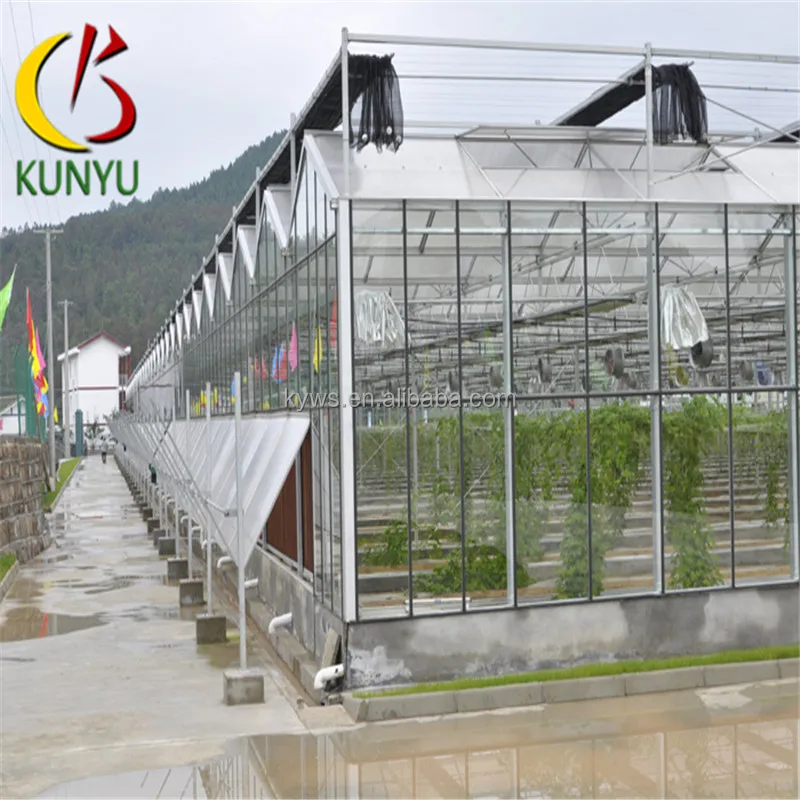 Sawtooth type glass greenhouse cost wood and glass greenhouse