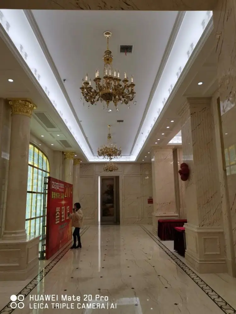 2020 HongKong French ceiling gold 220v chandeliers & pendant lights ceiling lights for modern home