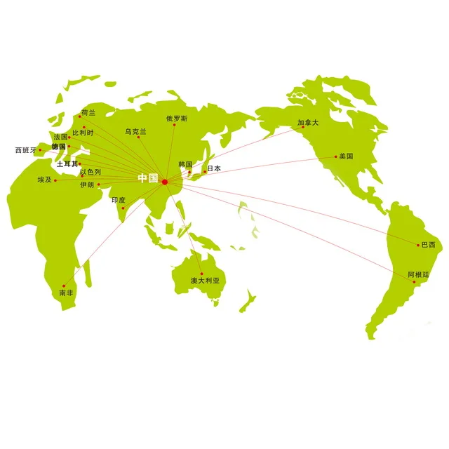 freight forwarder agent offers cheap sea freight rates from China to Argentina  shipping company