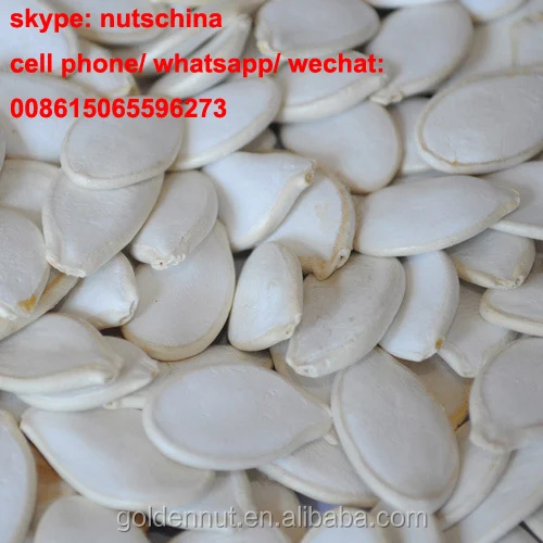 
CHINA SNOW WHITE PUMPKIN SEEDS FOR IRAN /IRAQ/EGYPT/SAUDI ARABIA/JORDAN/TUNISIA/MOROCCO11cmup 13 cm up 11mm up 13 mm up 