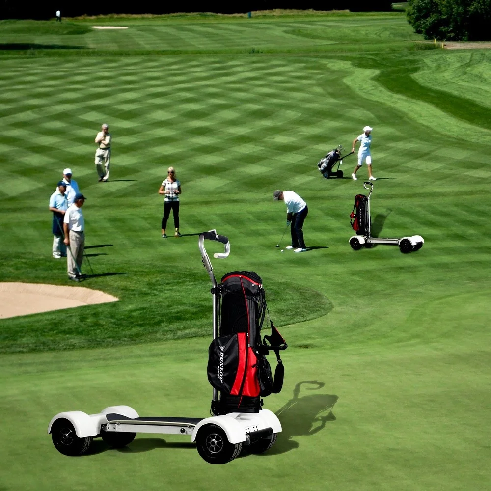 Newest longboard electric golf skateboard scooter with remove golf holder