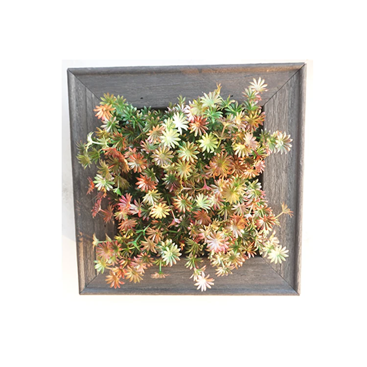 Fashion design home decor decorative succulent plant hanging wall photo plant plastic frame