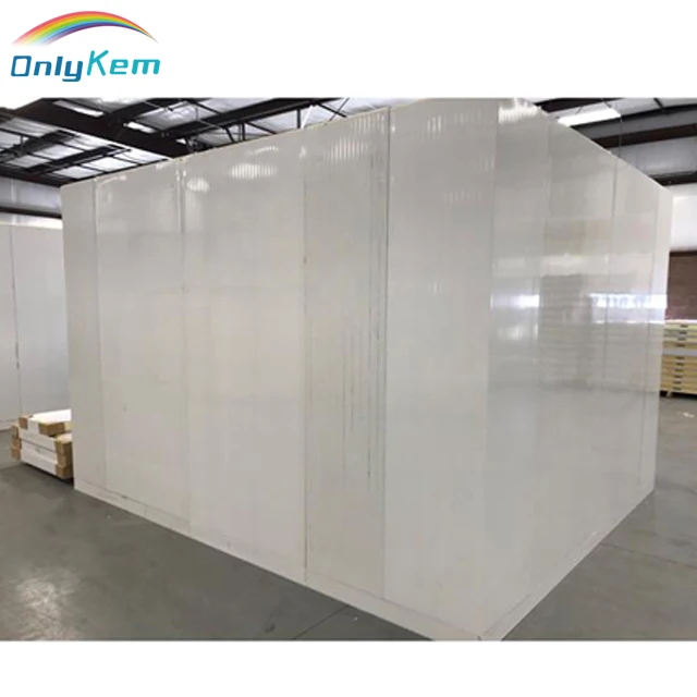 walk in blast freezer room for fish beef chicken