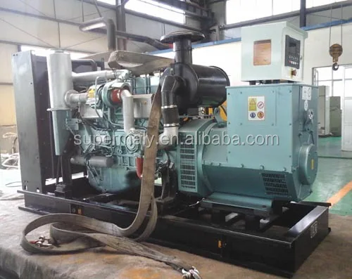250kva natural gas generator by reliable Chinese gas engine