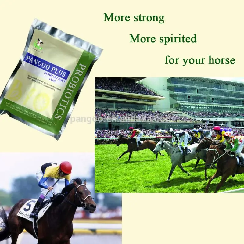 The horse prebiotics animal feed 1