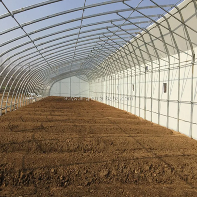Cheap agriculture multispan greenhouse, tunnel greenhouse for cultivation