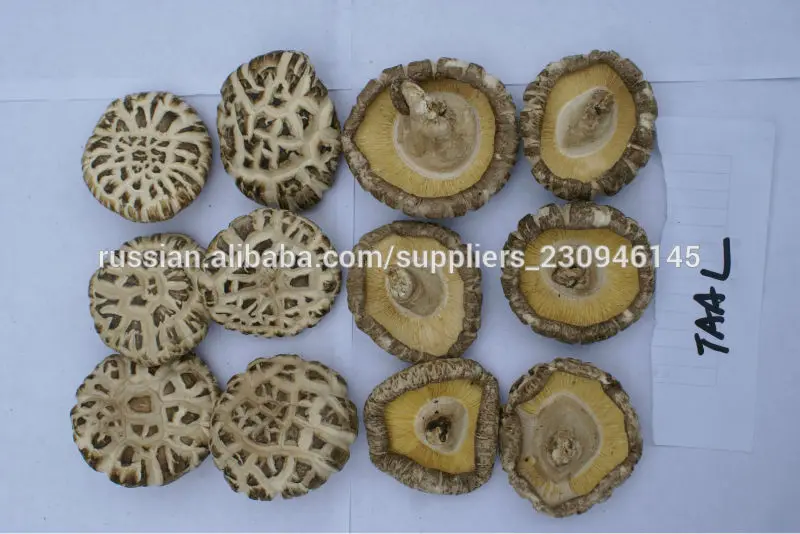 Китайские грибы шиитаке