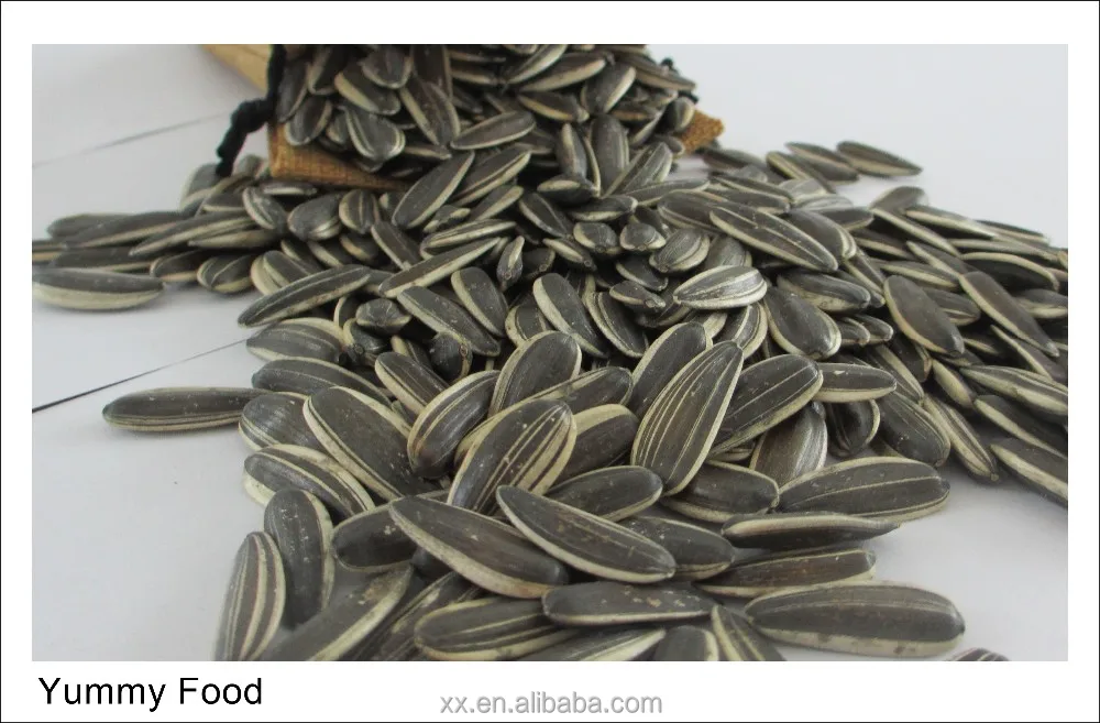 sunflower seed 5009
