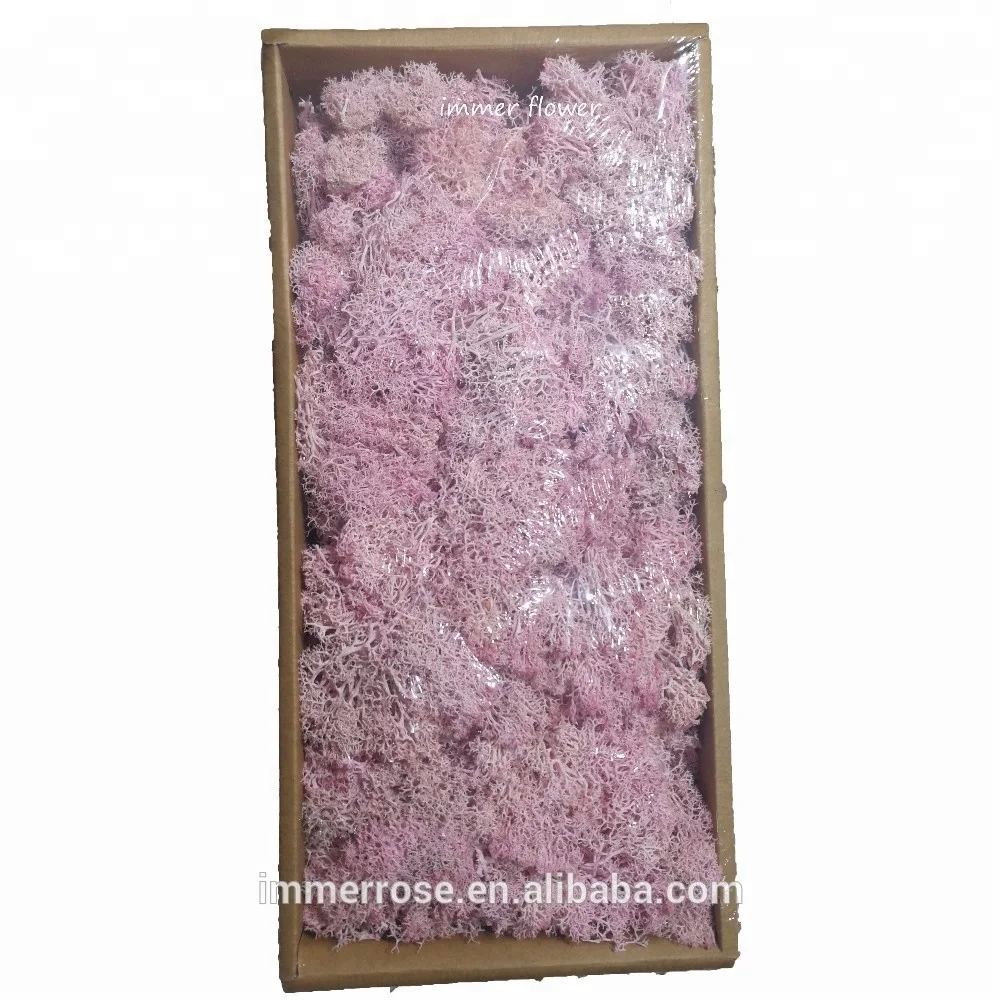 
Top quality Stabilized Moss Wholesale Preserved Moss From Kunming China 