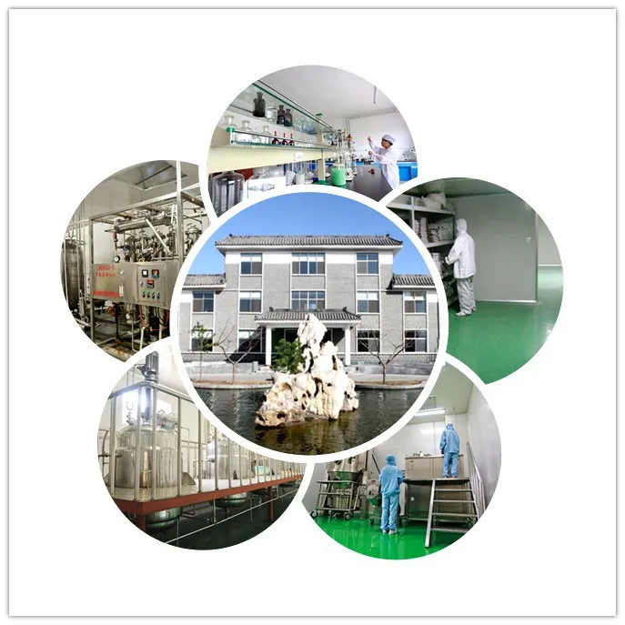 
Instant Fish Collagen/ Food and Cosmetic Grade Collagen For Nutrition Supplement 