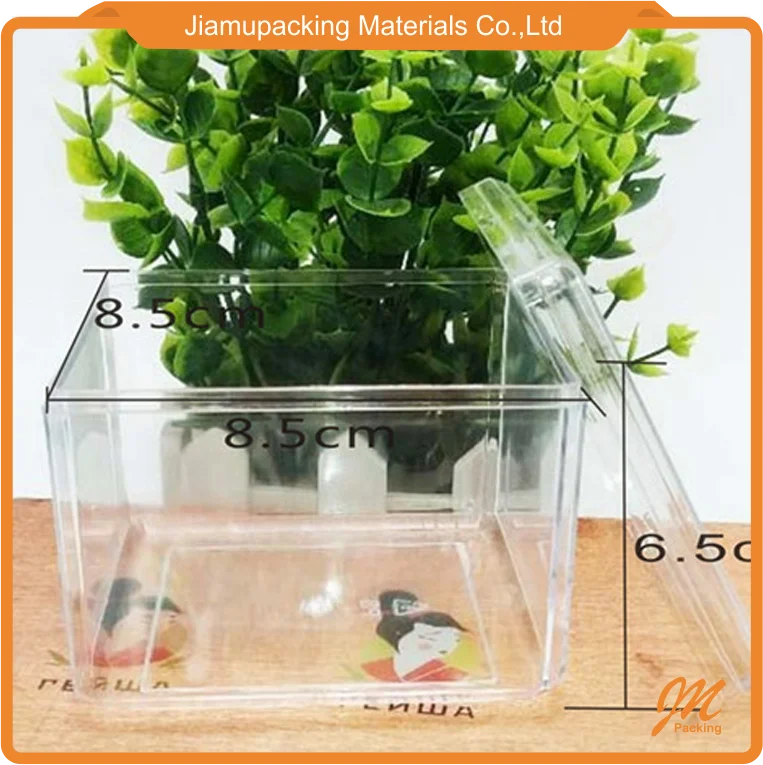 plastic small biscuit cookie packaging container box