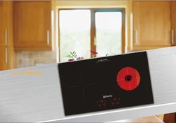 Оптовая цена по прейскуранту завода импорт и экспорт 2 горелки индукционная плита двойная электрическая плита в фошань