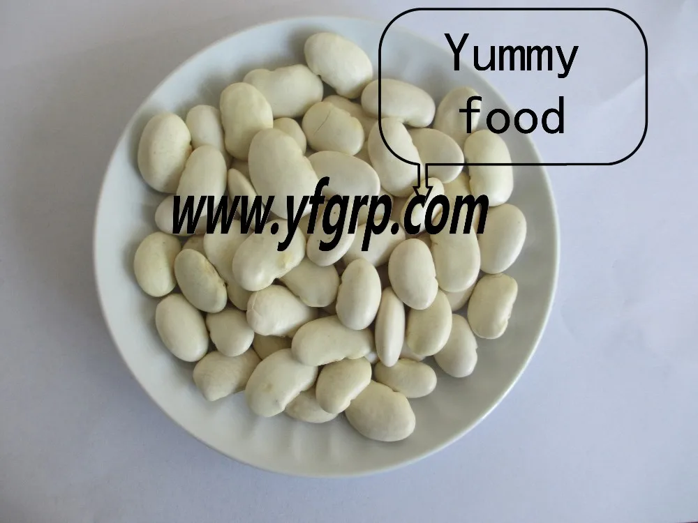 
Super grade Medium white kidney bean(square shape) 