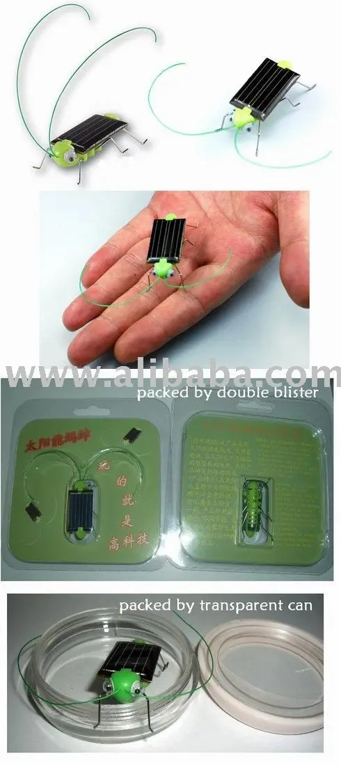 Solar beatle/solor toy/beatle