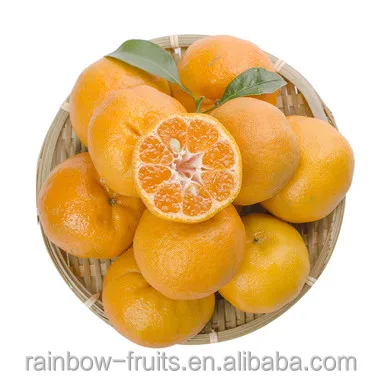 
Hot Sale Fresh Sweet High Quality Ponkan/Lugan Mandarin Orange 