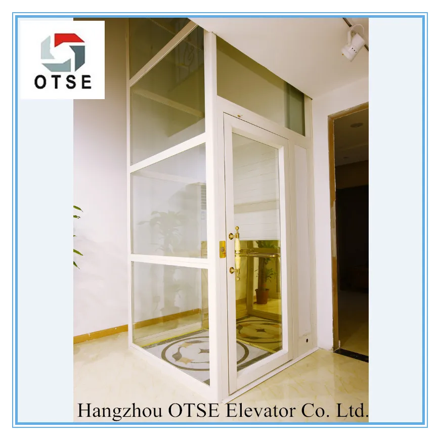 400kg Platform home elevator screw platform home elevator