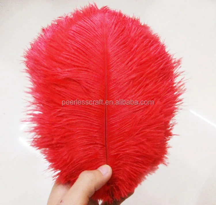 Оптовая Продажа Цветных больших страусиных перьев FC429