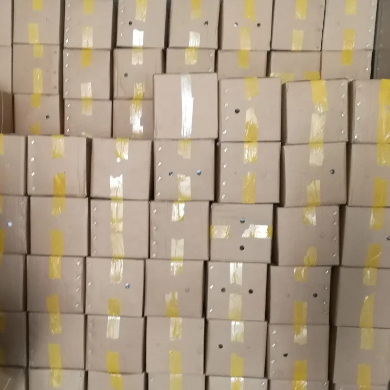 
China cold resistant empress tree root cutting and rootstock plants paulownia for timber 