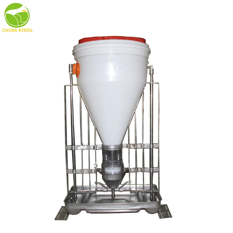 plastic automatic pigs equipment feeding trough for pigs