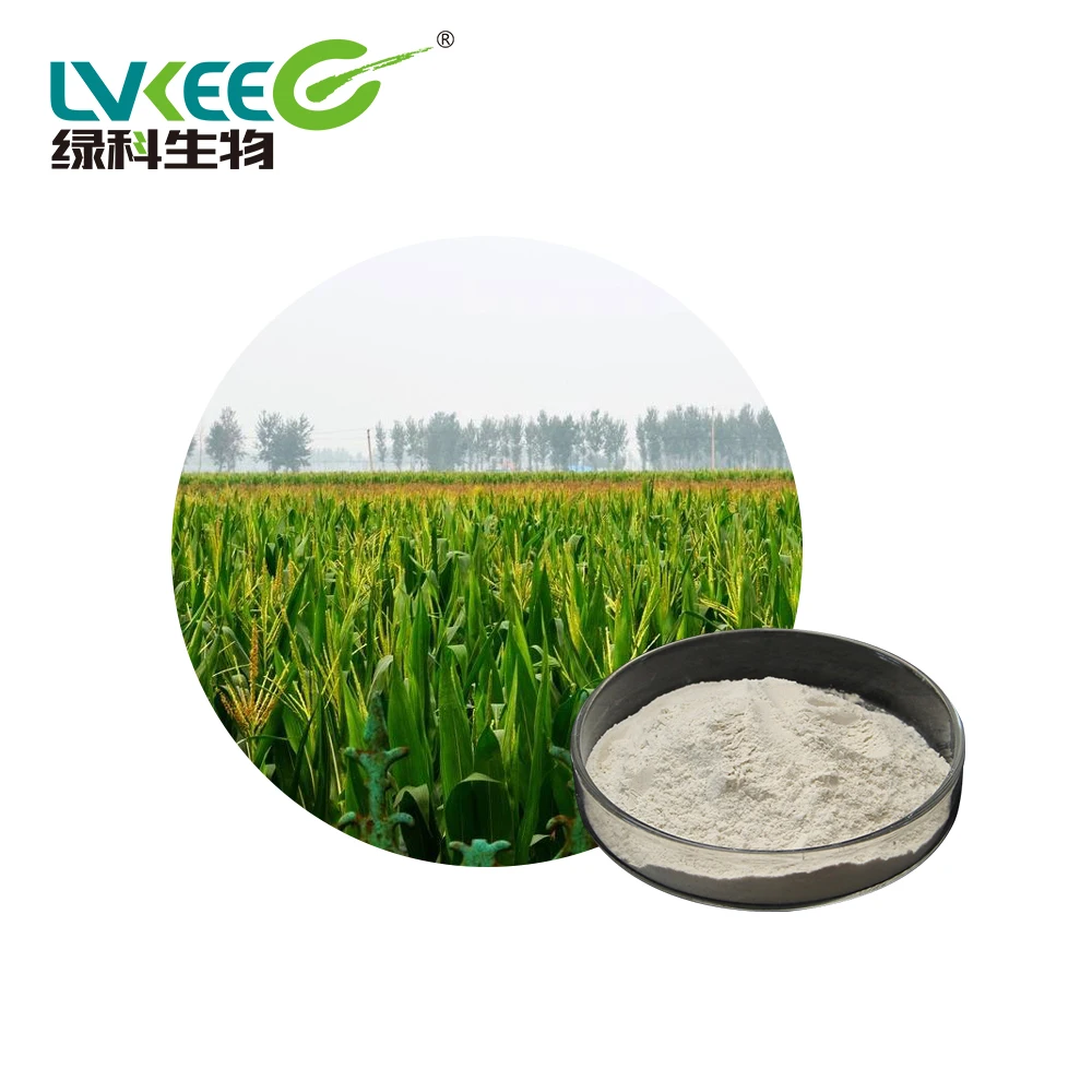 Bacillus Amyloliquefaciens for Plant Grower Banana Fusarium Wilt