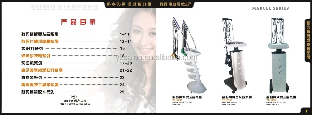 Classic European Style Hair Steamer(yc206)