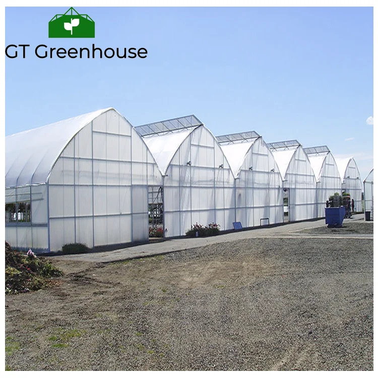 Agricultural Tropical Open Roof Greenhouses