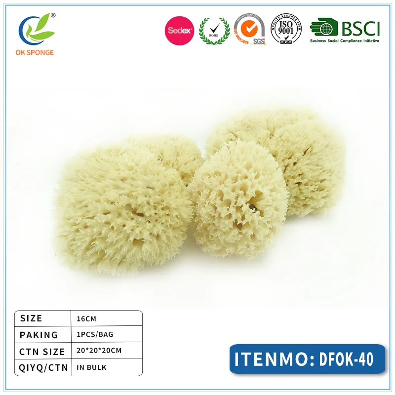 Top level quality honeycomb natural sea sponge bath massage sponge from Greece