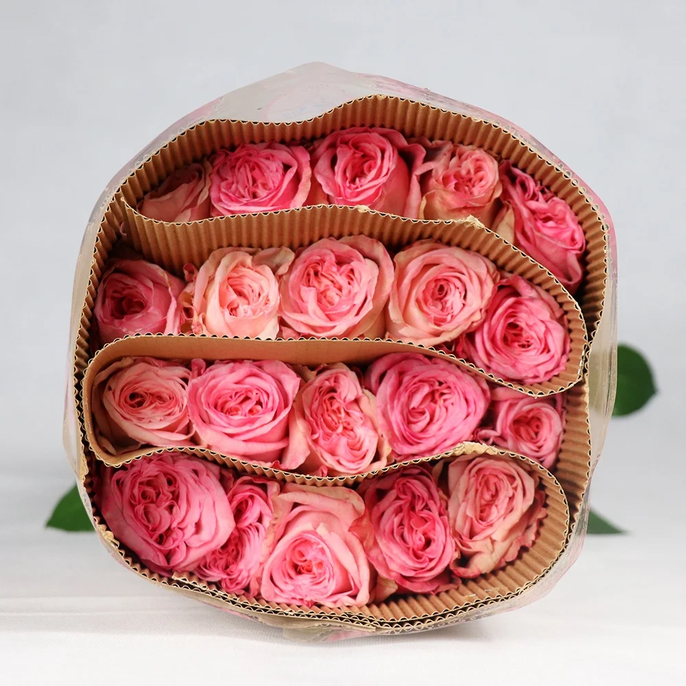 Professional Chinese Flower Supplier Various Color Fresh Cut Roses