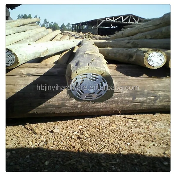 Оцинкованная Стальная Круглая Ферма для ногтей