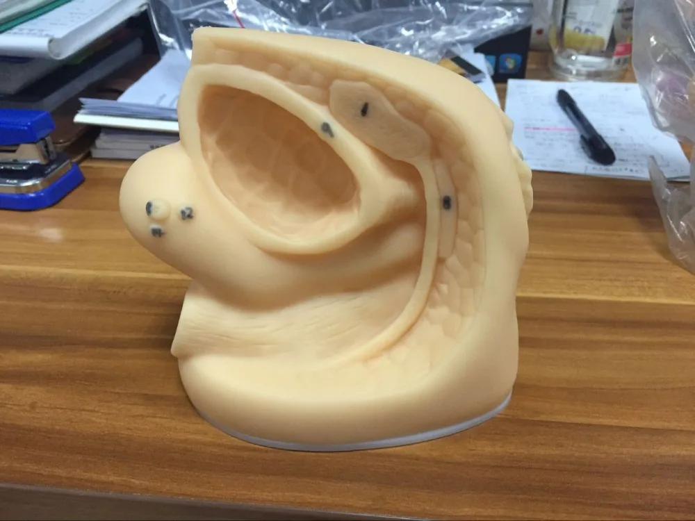 Factory Outlet Female Sexuel Organ Catheterization Simulator