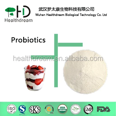 Healthdream supply food grade Lactococcus Lactis Powder natural Probiotics