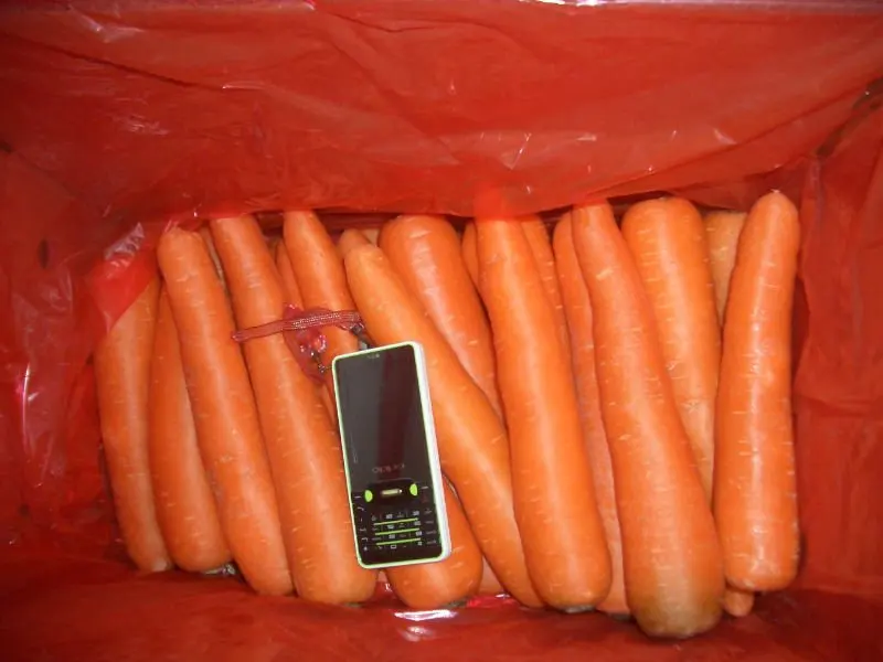  Китайская фабрика по производству свежей моркови экспортирует 2018