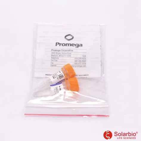 AMV Reverse Transcriptase