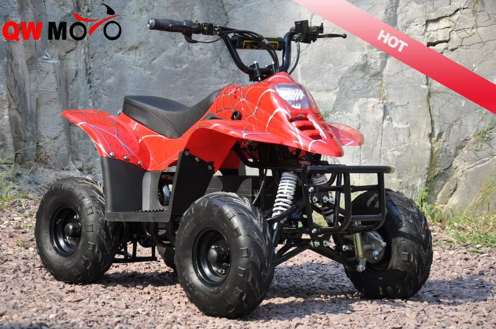 Brushless Motor 500W 48V Electric Mini ATV for Kids