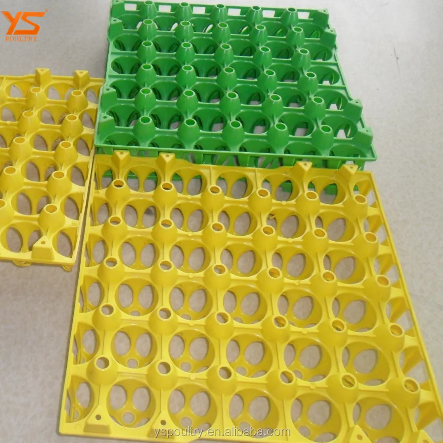 Factory Sale Plastic Egg Tray Made By PE Plastic