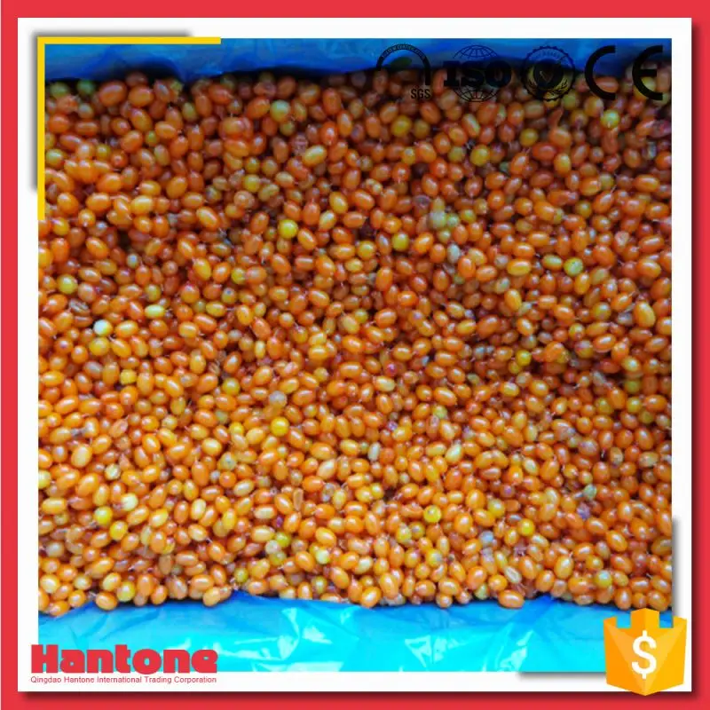 
Frozen Sea Buckthorn Berries Price For Sale 