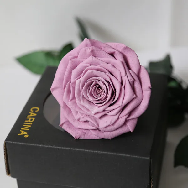 Natural Forever Rose Egypt For Any Occasion From Flower Farm