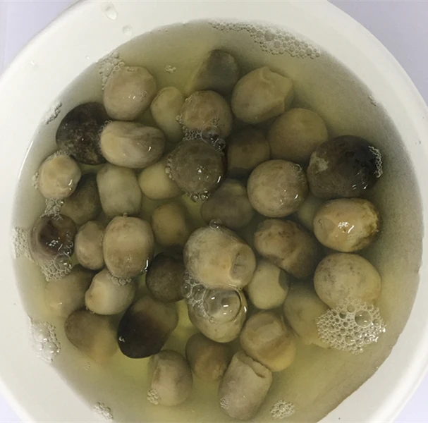 
canned food list of cannde mushroom debris 