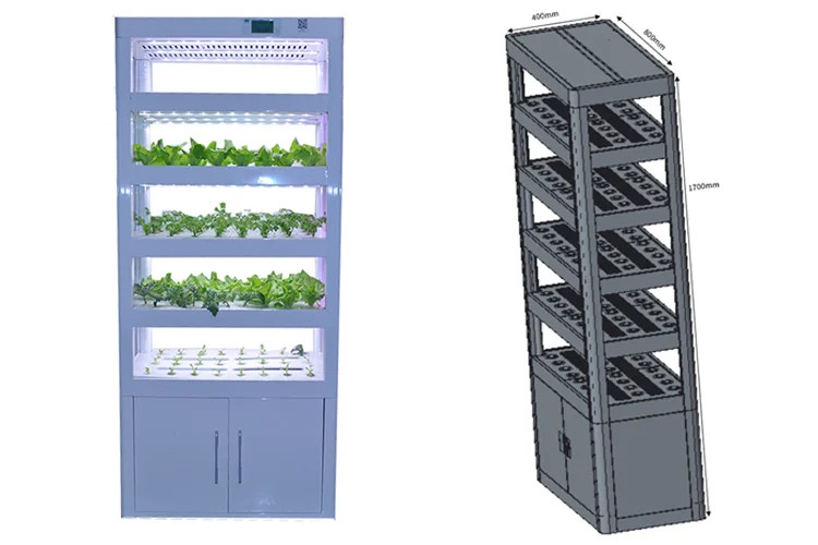 Dismountable Hydroponic Systems Grow Box for Indoor Vertical Garden Farming