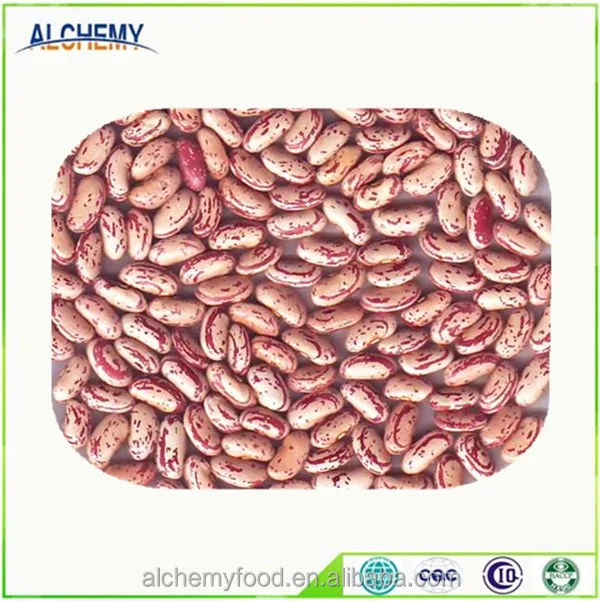 Высококачественная фасоль LSKB, сухая фасоль pinto bean