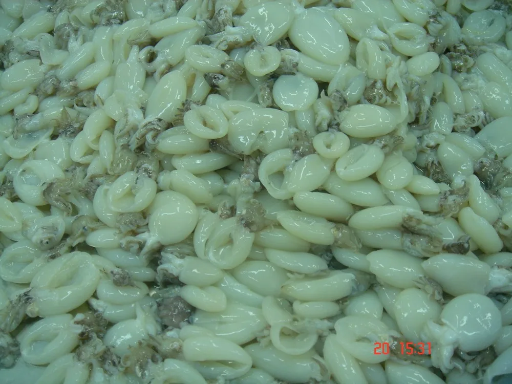  Замороженная детская морская рыба из Вьетнама