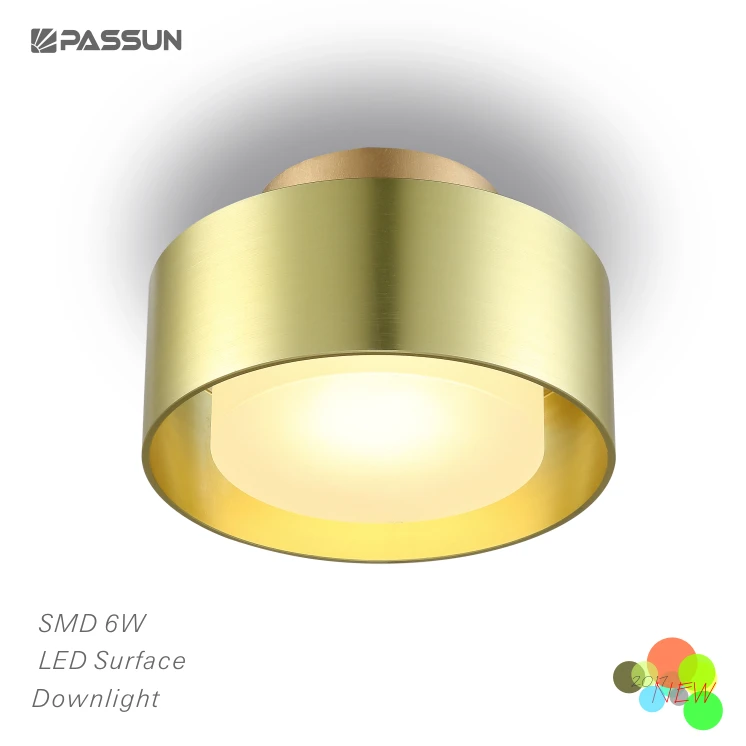 PASSUN NEW product aluminium anodized gold design led down lights