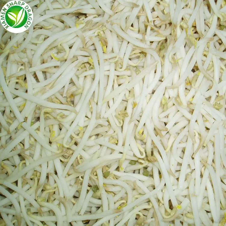
wholesale grade best iqf frozen bean sprout 