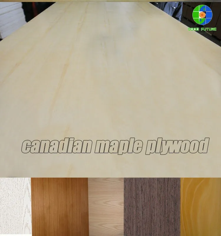 best price canadian maple plywood for sale